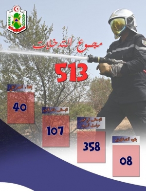 المجموع العام لأهم التدخلات المسجلة من الساعة 06.00 من يوم 16-05-2024 إلى الساعة 06.00 من يوم 17-05-2024