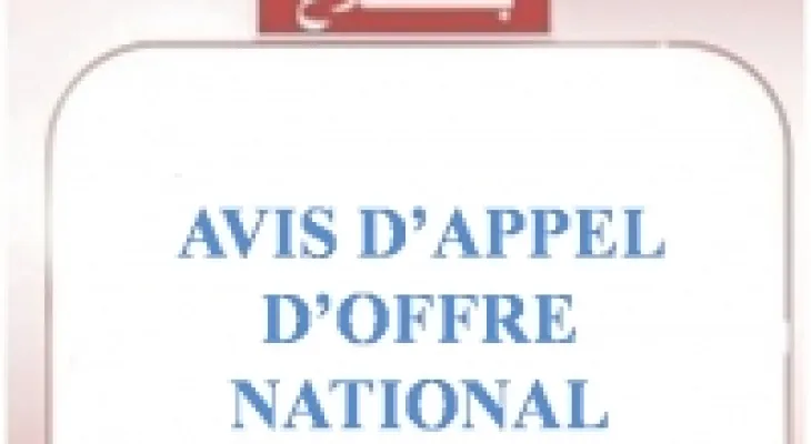 AVIS D’APPEL D’OFFRE NATIONAL N° 23/2024